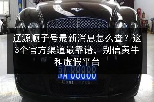 辽源顺子号最新消息怎么查?这3个官方渠道最靠谱,别信黄牛和虚假平台 第2张 辽源顺子号最新消息怎么查?这3个官方渠道最靠谱,别信黄牛和虚假平台 第2张