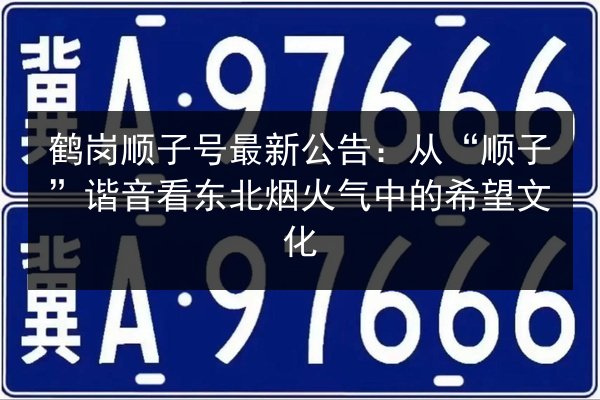 鹤岗顺子号最新公告：从“顺子”谐音看东北烟火气中的希望文化 第2张
