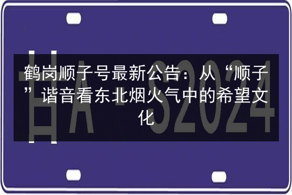 鹤岗顺子号最新公告：从“顺子”谐音看东北烟火气中的希望文化 第3张
