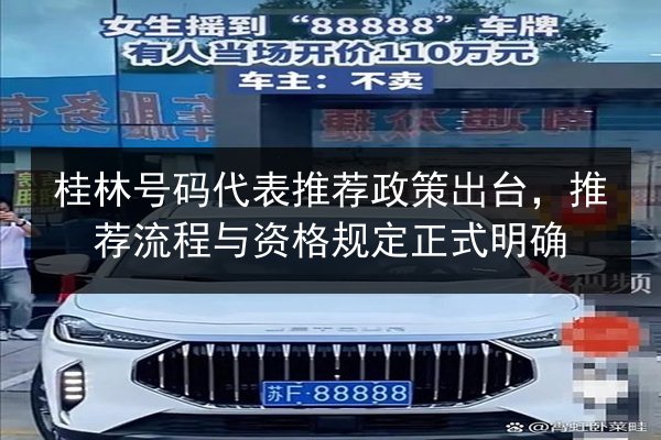 桂林号码代表推荐政策出台,推荐流程与资格规定正式明确 第3张 桂林号码代表推荐政策出台,推荐流程与资格规定正式明确 第3张