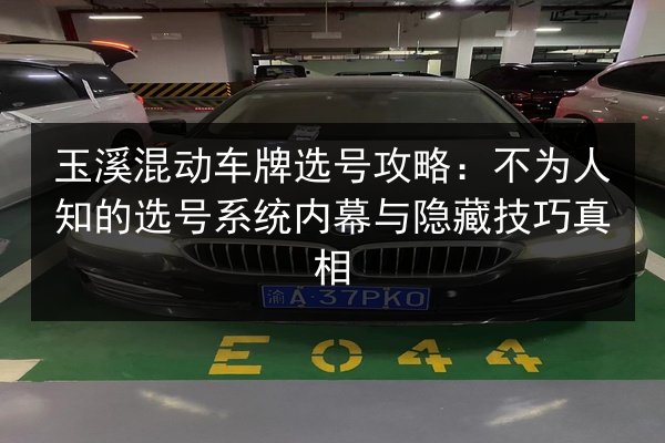 玉溪混动车牌选号攻略:不为人知的选号系统内幕与隐藏技巧真相 第2张 玉溪混动车牌选号攻略:不为人知的选号系统内幕与隐藏技巧真相 第2张