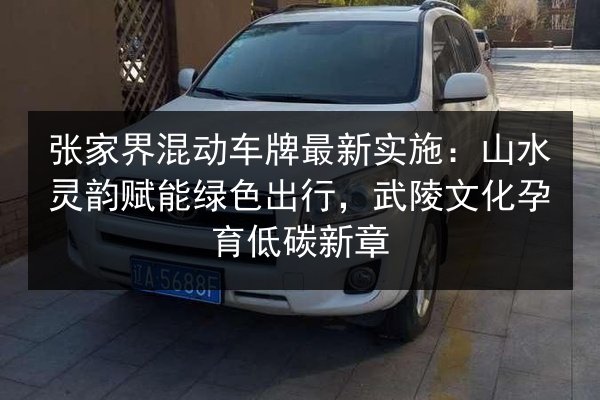 张家界混动车牌最新实施：山水灵韵赋能绿色出行，武陵文化孕育低碳新章 第2张