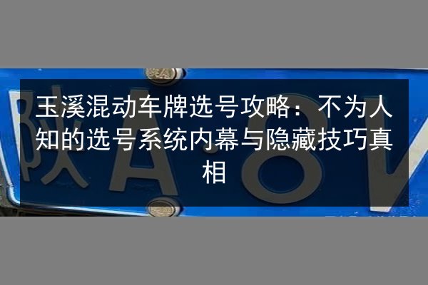 玉溪混动车牌选号攻略:不为人知的选号系统内幕与隐藏技巧真相 第3张 玉溪混动车牌选号攻略:不为人知的选号系统内幕与隐藏技巧真相 第3张