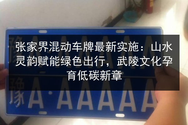 张家界混动车牌最新实施：山水灵韵赋能绿色出行，武陵文化孕育低碳新章 第3张