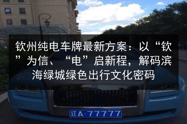 钦州纯电车牌最新方案：以“钦”为信、“电”启新程，解码滨海绿城绿色出行文化密码 第2张