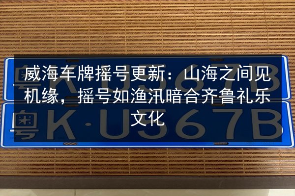 威海车牌摇号更新：山海之间见机缘，摇号如渔汛暗合齐鲁礼乐文化