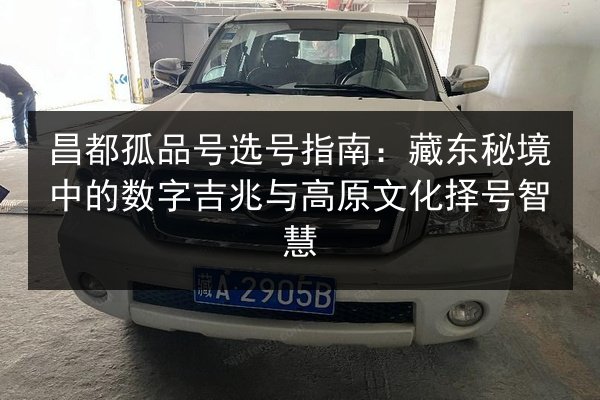 昌都孤品号选号指南：藏东秘境中的数字吉兆与高原文化择号智慧
