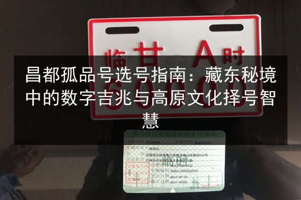 昌都孤品号选号指南：藏东秘境中的数字吉兆与高原文化择号智慧 第3张