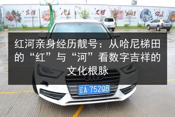 红河亲身经历靓号:从哈尼梯田的“红”与“河”看数字吉祥的文化根脉 第2张 红河亲身经历靓号:从哈尼梯田的“红”与“河”看数字吉祥的文化根脉 第2张