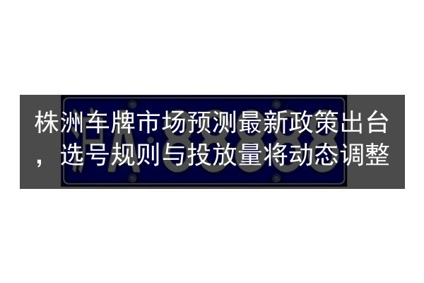 株洲车牌市场预测最新政策出台，选号规则与投放量将动态调整