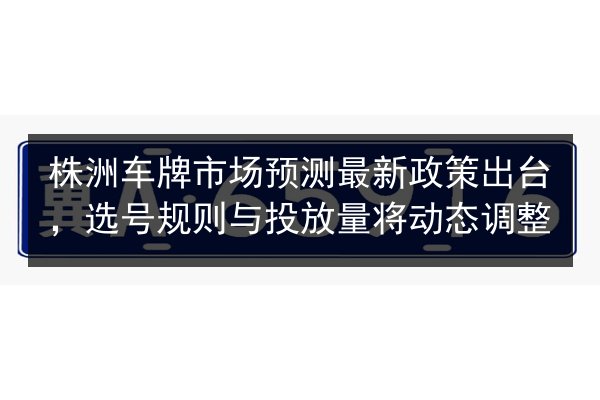株洲车牌市场预测最新政策出台,选号规则与投放量将动态调整 第2张 株洲车牌市场预测最新政策出台,选号规则与投放量将动态调整 第2张