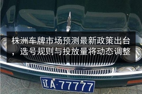 株洲车牌市场预测最新政策出台,选号规则与投放量将动态调整 第3张 株洲车牌市场预测最新政策出台,选号规则与投放量将动态调整 第3张