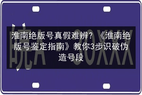 淮南绝版号真假难辨？《淮南绝版号鉴定指南》教你3步识破伪造号段