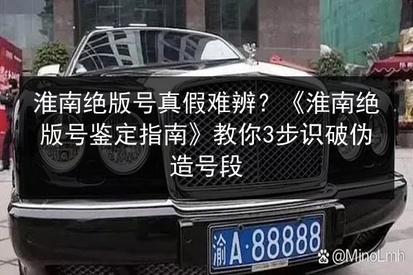 淮南绝版号真假难辨?《淮南绝版号鉴定指南》教你3步识破伪造号段 第2张 淮南绝版号真假难辨?《淮南绝版号鉴定指南》教你3步识破伪造号段 第2张
