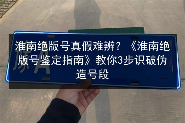 淮南绝版号真假难辨?《淮南绝版号鉴定指南》教你3步识破伪造号段 第3张 淮南绝版号真假难辨?《淮南绝版号鉴定指南》教你3步识破伪造号段 第3张