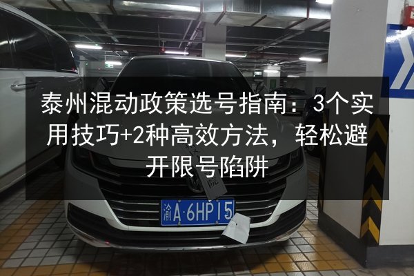 泰州混动政策选号指南：3个实用技巧+2种高效方法，轻松避开限号陷阱 第2张