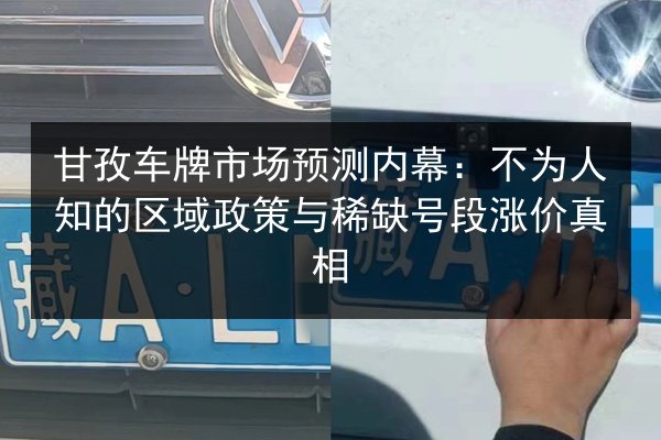 甘孜车牌市场预测内幕：不为人知的区域政策与稀缺号段涨价真相
