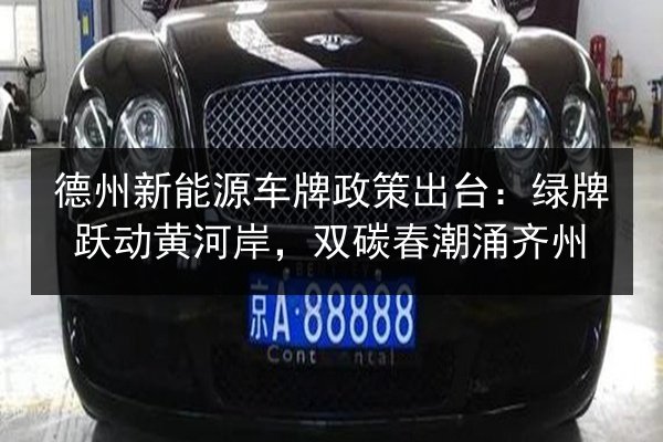 德州新能源车牌政策出台：绿牌跃动黄河岸，双碳春潮涌齐州