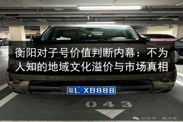 衡阳对子号价值判断内幕：不为人知的地域文化溢价与市场真相 第3张