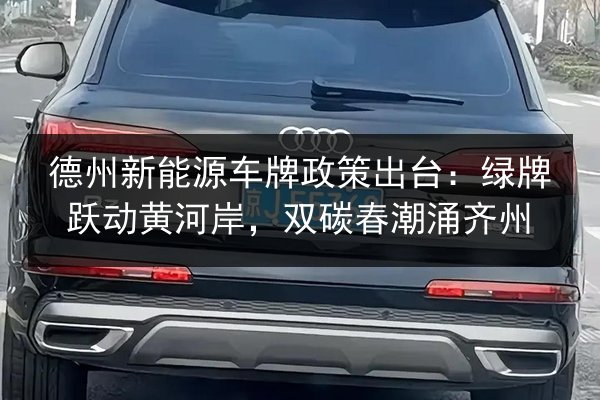 德州新能源车牌政策出台:绿牌跃动黄河岸,双碳春潮涌齐州 第3张 德州新能源车牌政策出台:绿牌跃动黄河岸,双碳春潮涌齐州 第3张