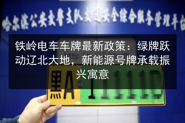 铁岭电车车牌最新政策:绿牌跃动辽北大地,新能源号牌承载振兴寓意 第3张 铁岭电车车牌最新政策:绿牌跃动辽北大地,新能源号牌承载振兴寓意 第3张