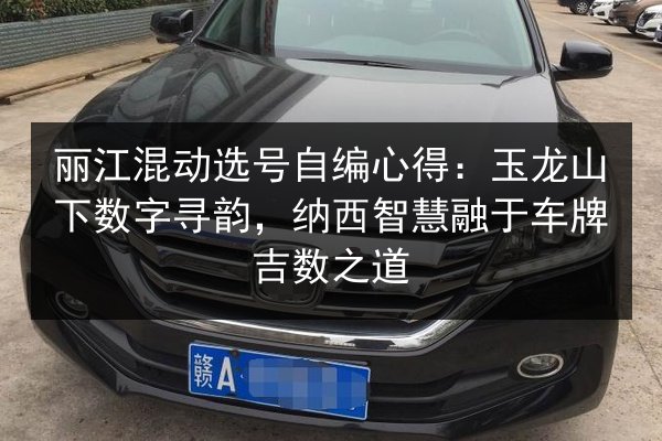 丽江混动选号自编心得:玉龙山下数字寻韵,纳西智慧融于车牌吉数之道 第2张 丽江混动选号自编心得:玉龙山下数字寻韵,纳西智慧融于车牌吉数之道 第2张