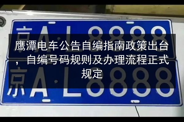 鹰潭电车公告自编指南政策出台,自编号码规则及办理流程正式规定 第3张 鹰潭电车公告自编指南政策出台,自编号码规则及办理流程正式规定 第3张