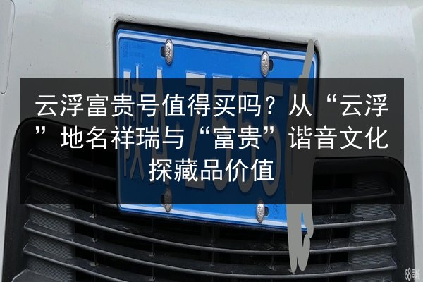云浮富贵号值得买吗？从“云浮”地名祥瑞与“富贵”谐音文化探藏品价值