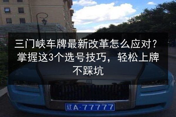 三门峡车牌最新改革怎么应对?掌握这3个选号技巧,轻松上牌不踩坑 第2张 三门峡车牌最新改革怎么应对?掌握这3个选号技巧,轻松上牌不踩坑 第2张