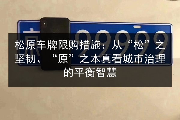 松原车牌限购措施：从“松”之坚韧、“原”之本真看城市治理的平衡智慧