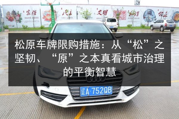 松原车牌限购措施:从“松”之坚韧、“原”之本真看城市治理的平衡智慧 第3张 松原车牌限购措施:从“松”之坚韧、“原”之本真看城市治理的平衡智慧 第3张