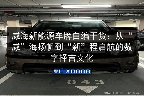 威海新能源车牌自编干货：从“威”海扬帆到“新”程启航的数字择吉文化 第3张