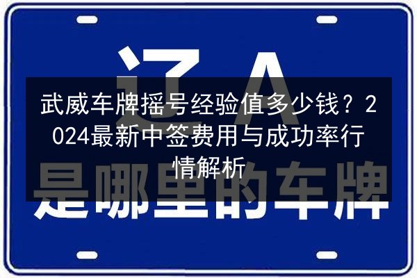 武威车牌摇号经验值多少钱？2024最新中签费用与成功率行情解析