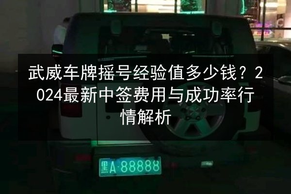 武威车牌摇号经验值多少钱？2024最新中签费用与成功率行情解析 第3张