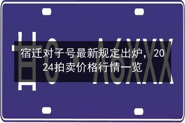 宿迁对子号最新规定出炉，2024拍卖价格行情一览 第2张