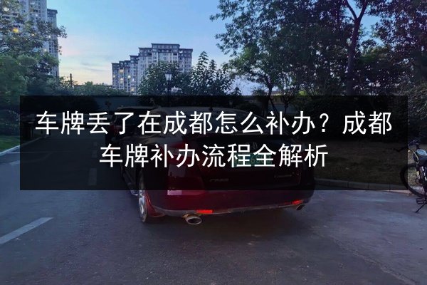 车牌丢了在成都怎么补办？成都车牌补办流程全解析 第3张