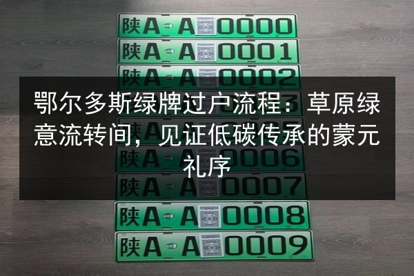 鄂尔多斯绿牌过户流程：草原绿意流转间，见证低碳传承的蒙元礼序 第2张