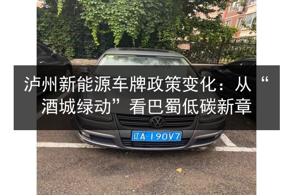 泸州新能源车牌政策变化：从“酒城绿动”看巴蜀低碳新章