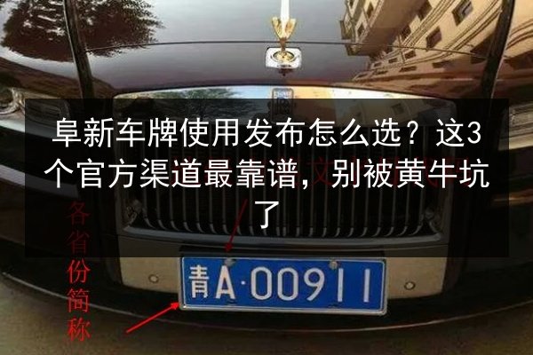 阜新车牌使用发布怎么选？这3个官方渠道最靠谱，别被黄牛坑了