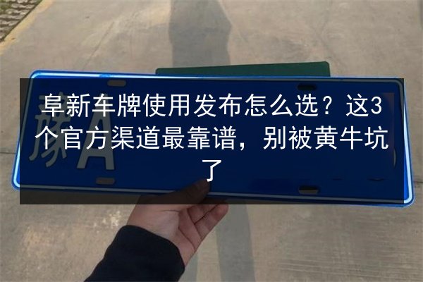 阜新车牌使用发布怎么选?这3个官方渠道最靠谱,别被黄牛坑了 第2张 阜新车牌使用发布怎么选?这3个官方渠道最靠谱,别被黄牛坑了 第2张