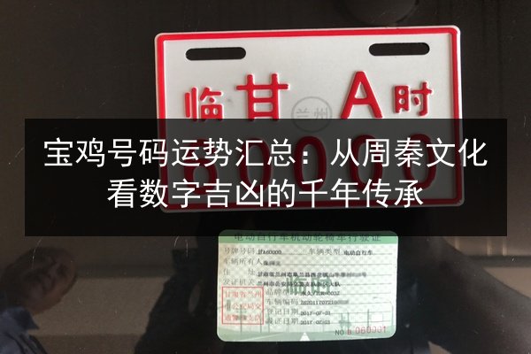 宝鸡号码运势汇总：从周秦文化看数字吉凶的千年传承 第3张