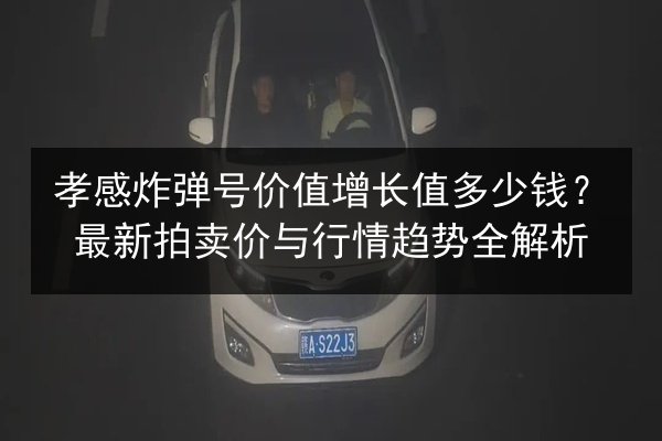 孝感炸弹号价值增长值多少钱？最新拍卖价与行情趋势全解析