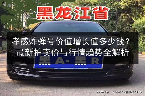 孝感炸弹号价值增长值多少钱？最新拍卖价与行情趋势全解析 第2张