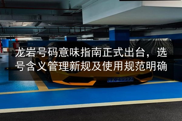 龙岩号码意味指南正式出台,选号含义管理新规及使用规范明确 第2张 龙岩号码意味指南正式出台,选号含义管理新规及使用规范明确 第2张