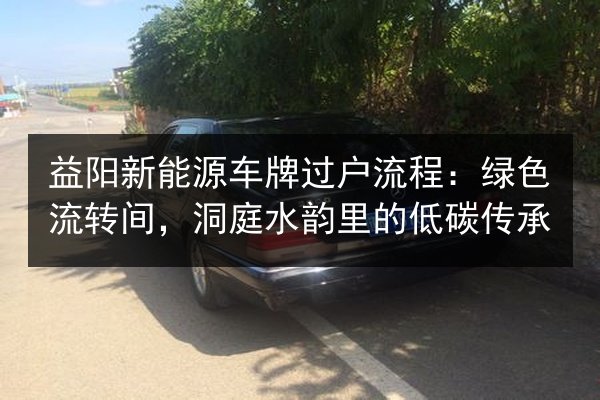 益阳新能源车牌过户流程：绿色流转间，洞庭水韵里的低碳传承