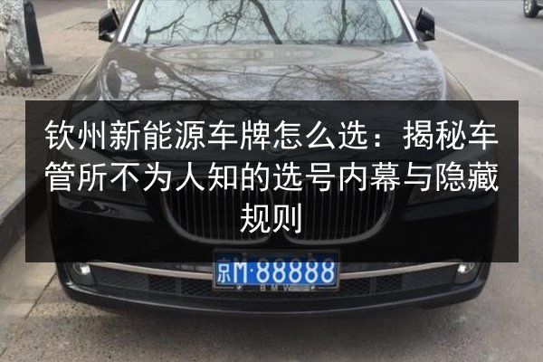 钦州新能源车牌怎么选：揭秘车管所不为人知的选号内幕与隐藏规则