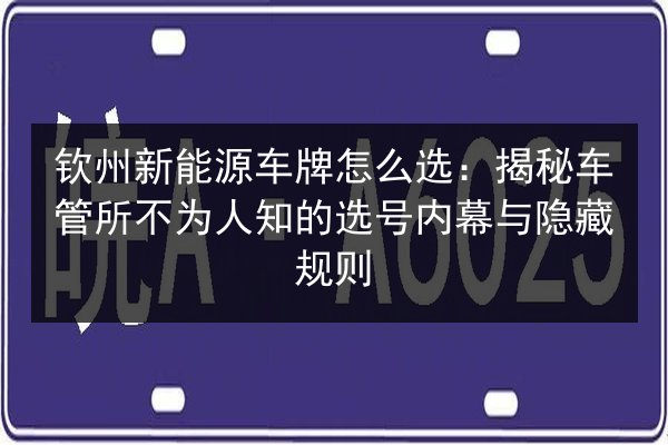 钦州新能源车牌怎么选:揭秘车管所不为人知的选号内幕与隐藏规则 第2张 钦州新能源车牌怎么选:揭秘车管所不为人知的选号内幕与隐藏规则 第2张