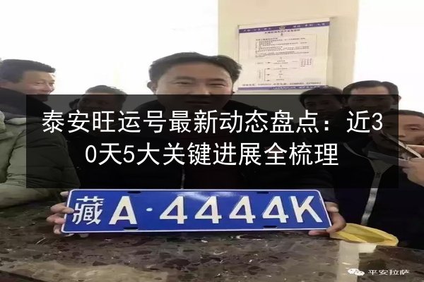泰安旺运号最新动态盘点：近30天5大关键进展全梳理 第2张