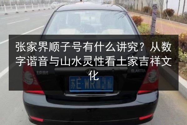 张家界顺子号有什么讲究?从数字谐音与山水灵性看土家吉祥文化 第3张 张家界顺子号有什么讲究?从数字谐音与山水灵性看土家吉祥文化 第3张