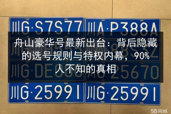 舟山豪华号最新出台：背后隐藏的选号规则与特权内幕，90%人不知的真相